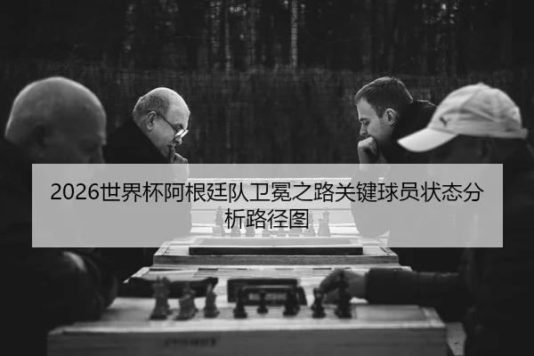 shi-jie-bei-a-gen-ting-dui-wei-mian-zhi-lu-guan-jian-qiu-yuan-zhuang-tai-fen-xi-lu-jing-tu-2-658.jpg